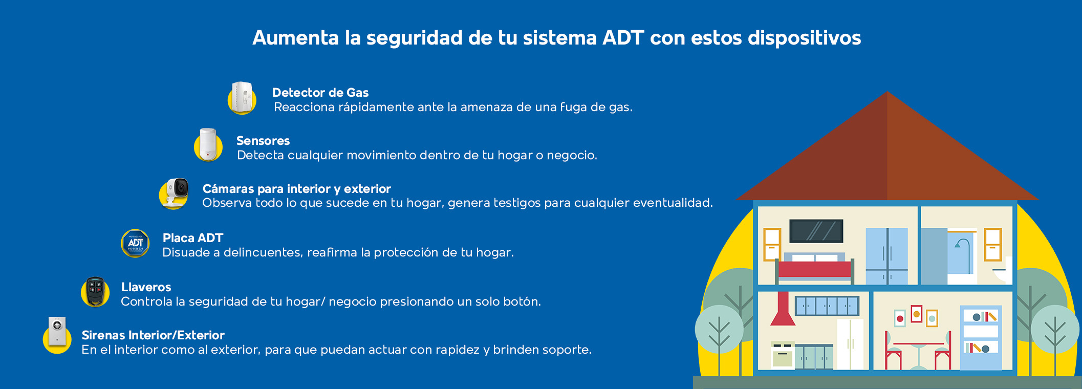 Protección Completa
